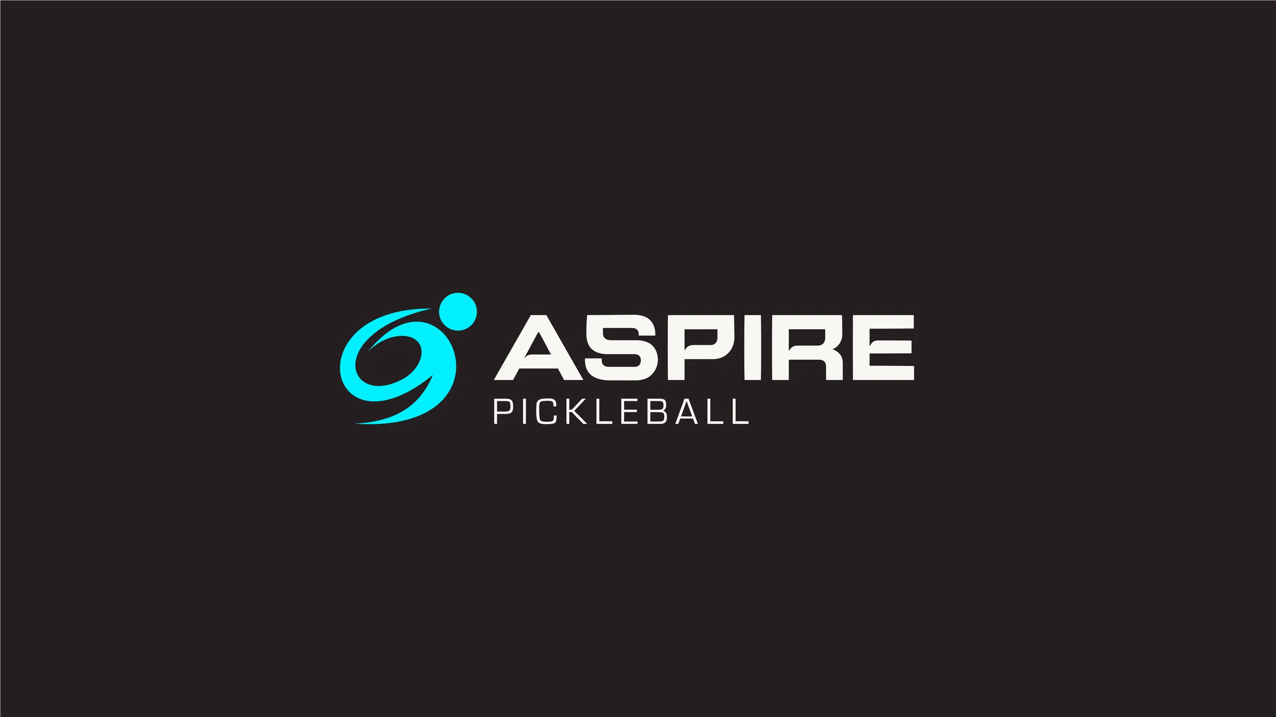 Aspire Pickleball brand identity 3